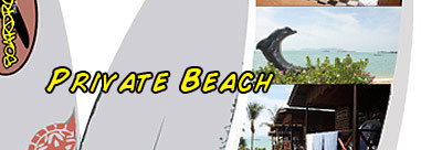 Boardroom Beach On the Beach