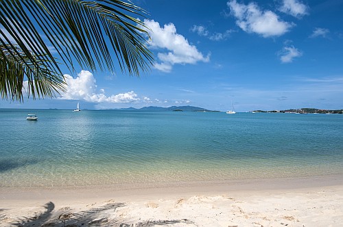Boardroom Beach Bungalows and Chill-Out Bar, Bangrak Ngam Koh Samui, Thailand