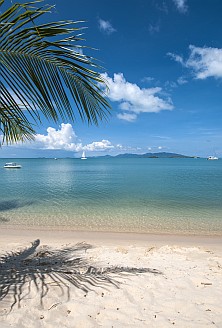 The Boardroom beach Bungalows Email Beach Front